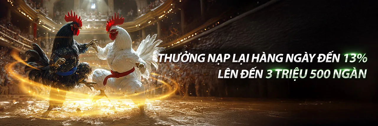 Đá Gà Trực Tuyến Sôi Động Tại 888p28